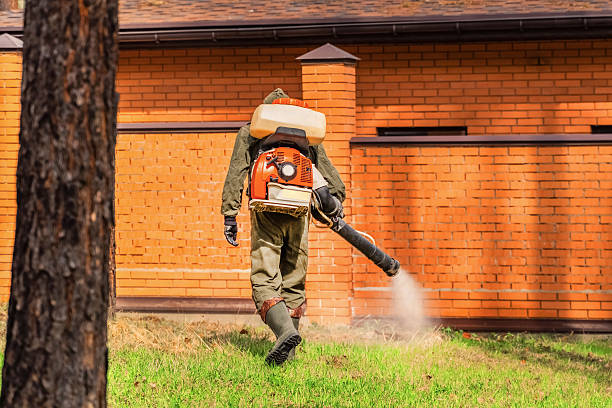 Trusted Emergency Pest Control service in Glenwood Springs, CO - Nex Pest Control